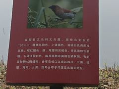 -金银湖国家城市湿地公园