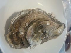 -万盛合(渔人码头店)