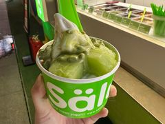 -Salud撒露欧洲冻酸奶(蓝色港湾店)