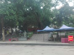 -南宁良凤江国家森林公园