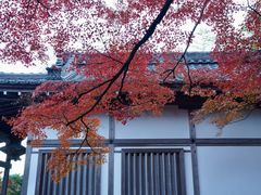-常寂光寺