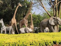 -泉州海丝野生动物世界