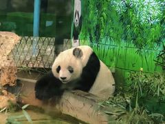 -天津市动物园