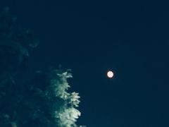 -北门涮肉·炭火铜锅涮肉(什刹海店)