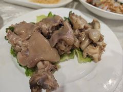 -丁老爷子苏香圆