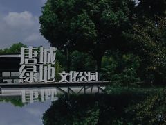 -泰煌鸡·上海白斩鸡·鸡汤面(万航店)