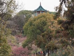 -无锡梅园公园