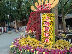 -上海共青森林公园