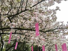 -杭州少年儿童公园