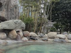 -地中海传奇水汇