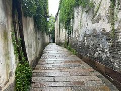 -乌镇景区