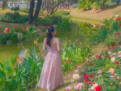 -人民公园(罗湖区)