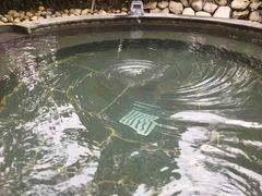 -水底山庄园温泉