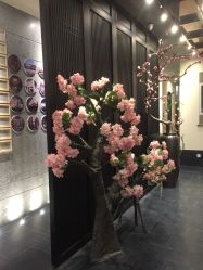 -盘子女人坊古装写真摄影(深圳店)