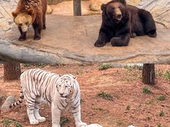 -云南野生动物园