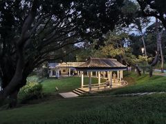 -四海公园(南山区)