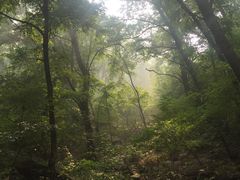 -封龙山风景区