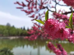 -团结湖公园
