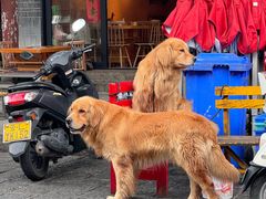 -八木轩·寻味大理白族民俗餐厅(文献路店)