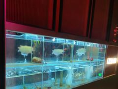-苏淮景·苏闽融创菜·海鲜(原空港井河轩店)