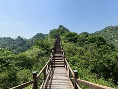 -大岭沟猕猴桃谷风景区