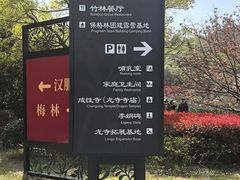 -龙寺生态园
