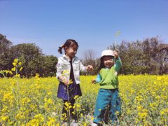 -长洲岛都市农业公园