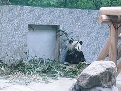 -西安秦岭野生动物园