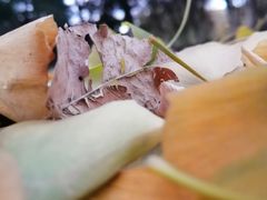 -山东师范大学(千佛山校区)