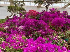 -沂蒙云瀑洞天景区