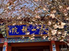 -石岛赤山风景区