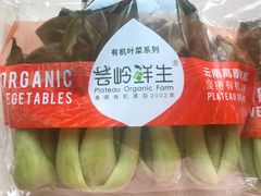 -盒马鲜生(枣园路店)