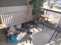 -平行世界·猫咖(首经贸店)