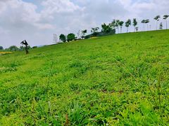 -紫颐香薰山谷景区