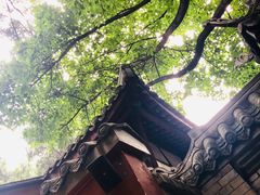 -星巴克(成都锦里店)