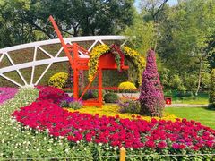 -上海共青森林公园