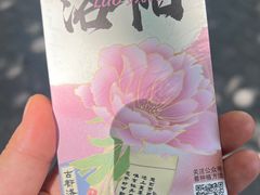 -老雒阳面馆·水席(定鼎门店)