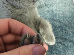 -酷宠动物医院(天通西苑店)