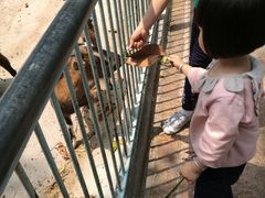 -广东茂名森林公园