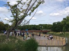 -嘉北郊野公园