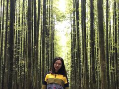-山王坪喀斯特国家生态公园
