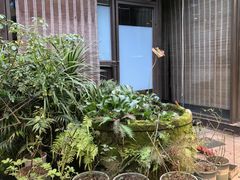 -先机泉水鸡汤(南山老君洞店)