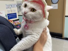 -盛捷游泳·潜水·高尔夫培训(凯德广场店)