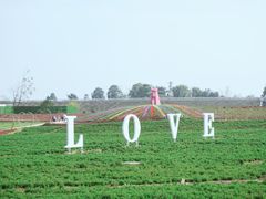 -华蓥山天意谷景区