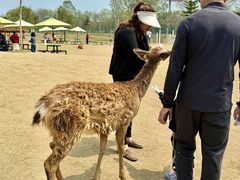 -盈香心动乐园