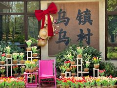 -乌村