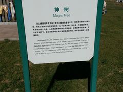 -亿利库布其七星湖沙漠生态旅游区