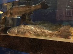 -潮有信餐厅(碧桂园十里金滩店)