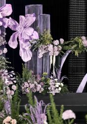 -明典婚礼策划·婚车租赁·婚纱摄影