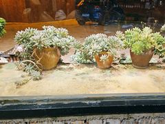 -夏雨路轩特色餐厅·十年经营